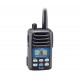 ICOM IC-M87 ATEX